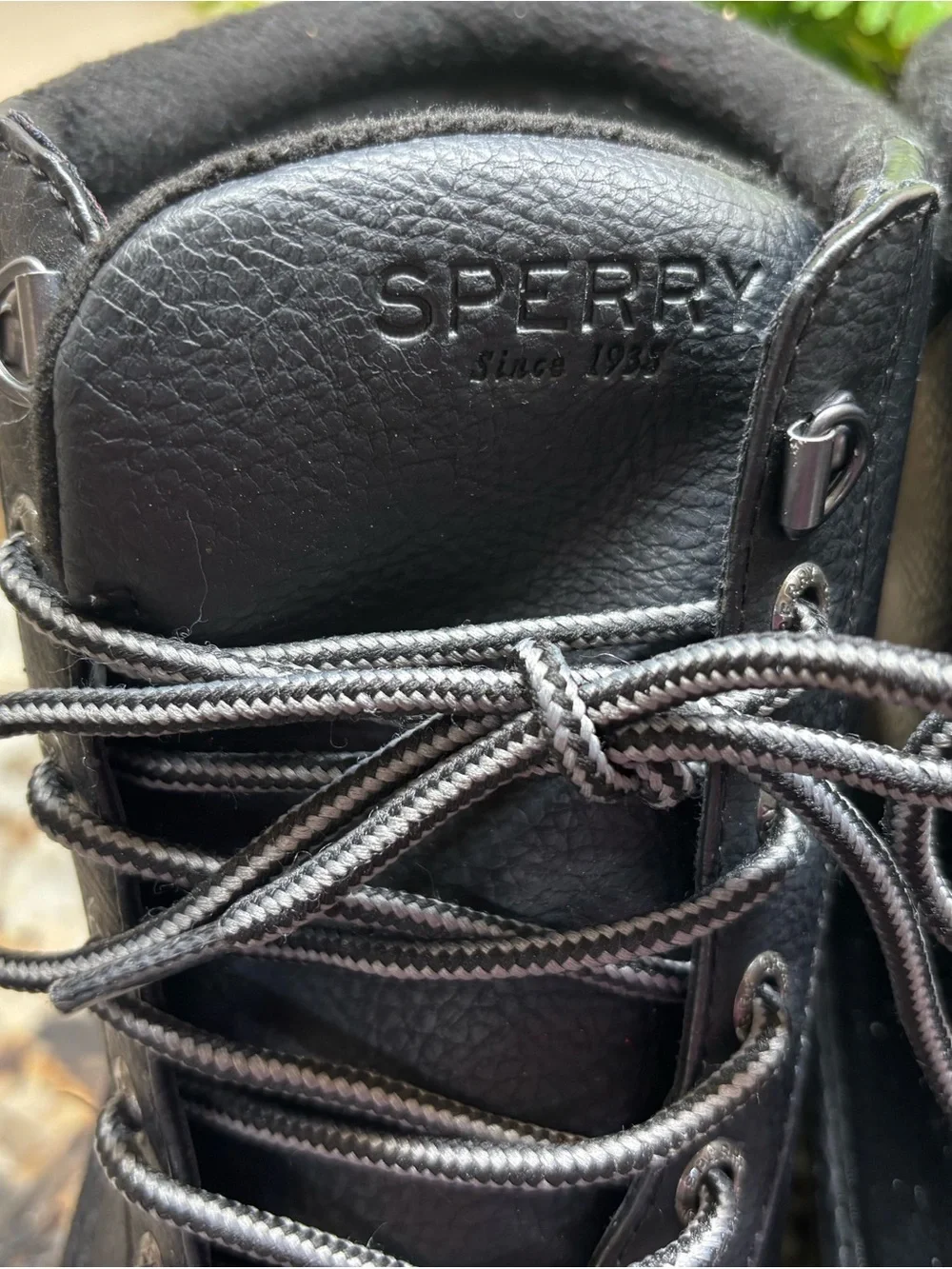 Sperry Men's Waterproof Boots